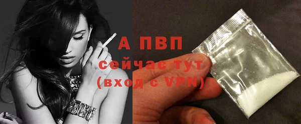 соль ск Богданович