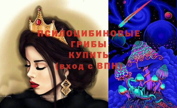 соль ск Богданович