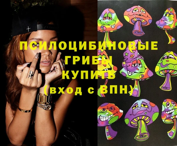 соль ск Богданович