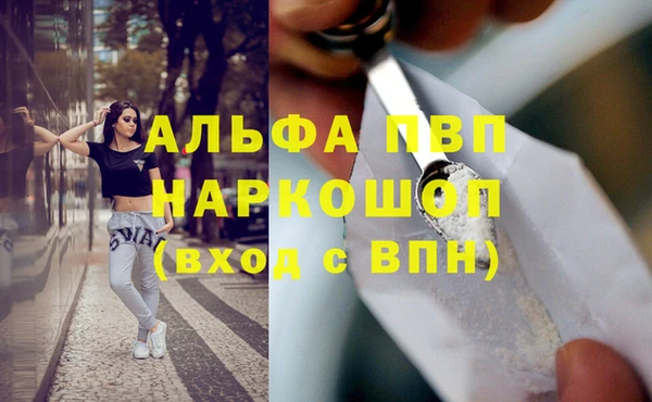 трава Богородицк