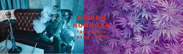соль ск Богданович