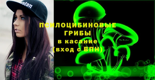 соль ск Богданович